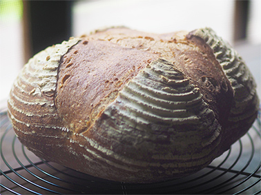 �V�i�������[��