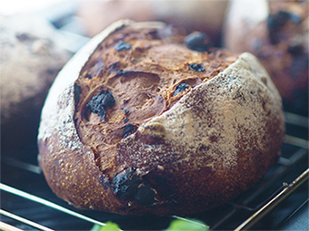 �V�i�������[��